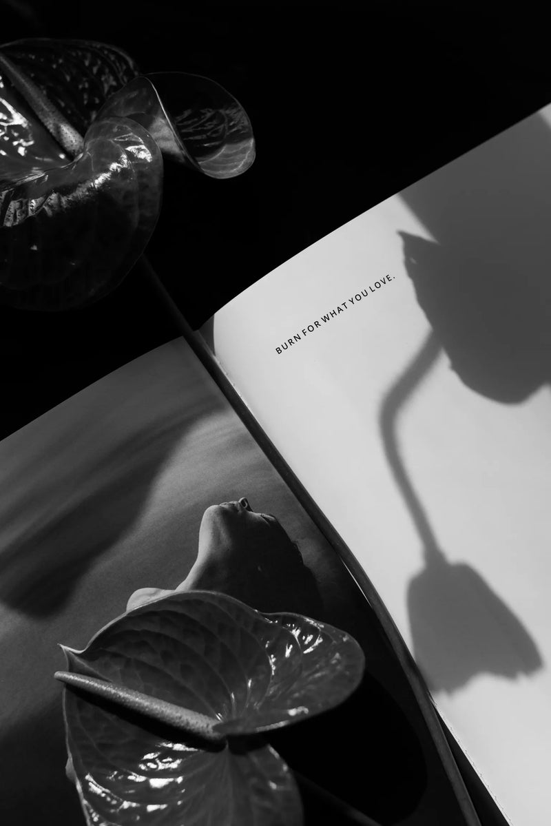 Emotional Aesthetics-VESY